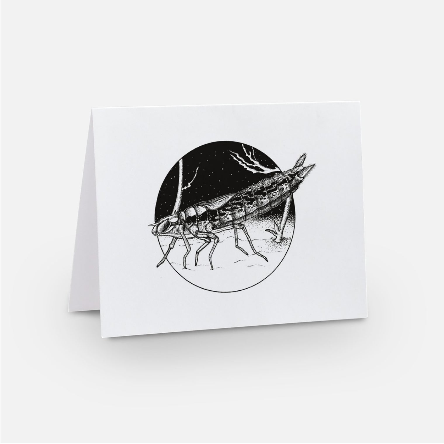 Dragonfly Notecards