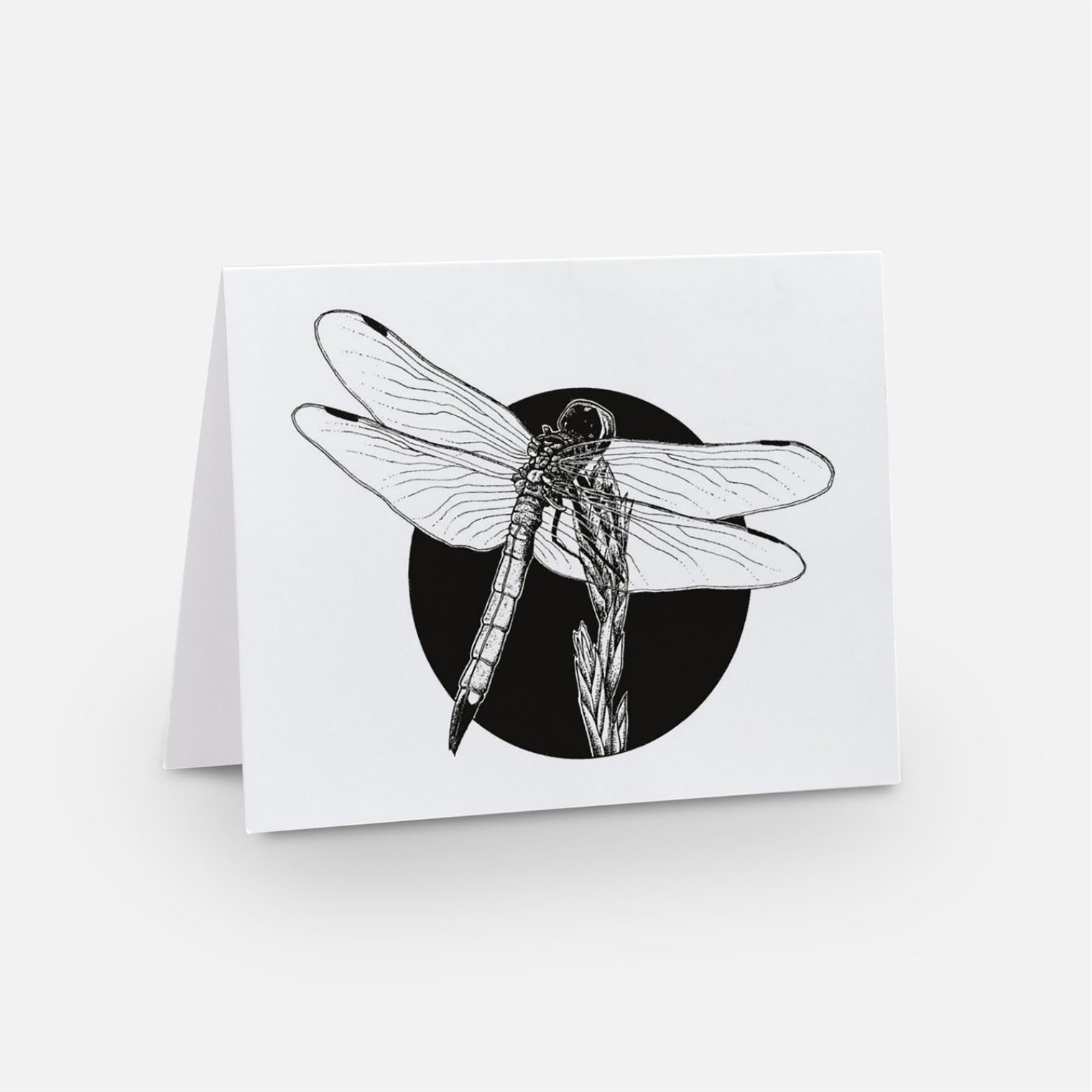 Dragonfly Notecards