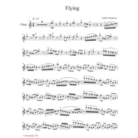 Flying PDF Download