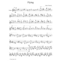 Flying PDF Download
