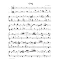 Flying PDF Download