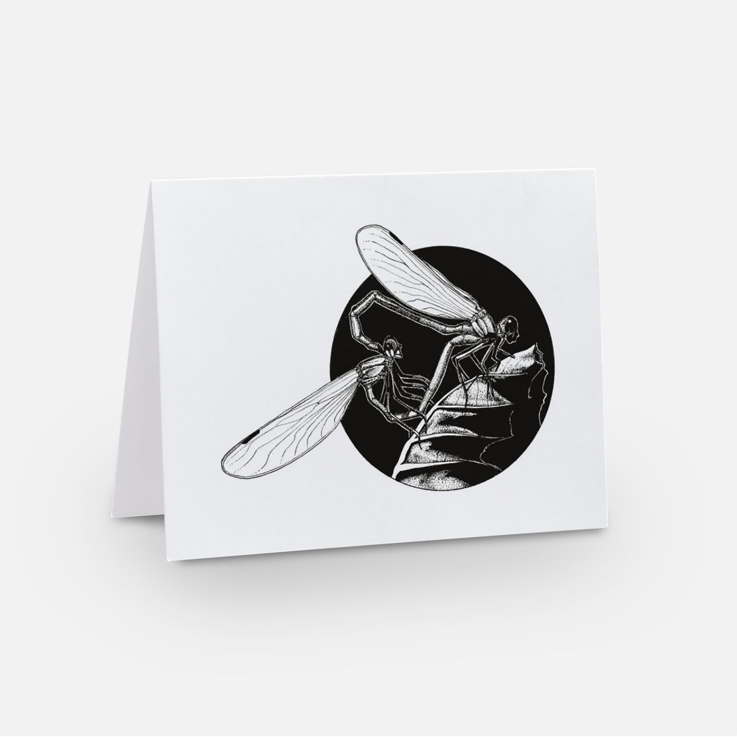 Dragonfly Notecards